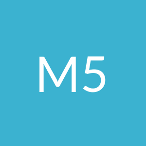 M 5